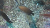 img_0042.jpg